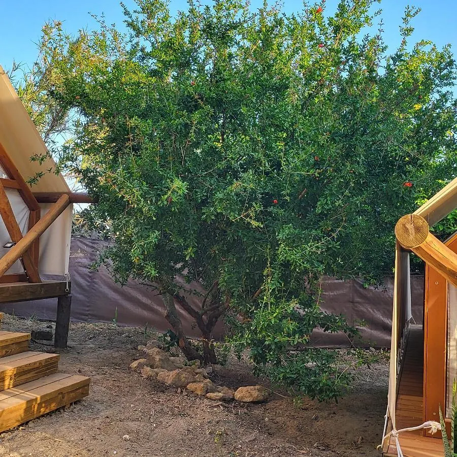 Boho Glamping Hotel Cadiz Campsite